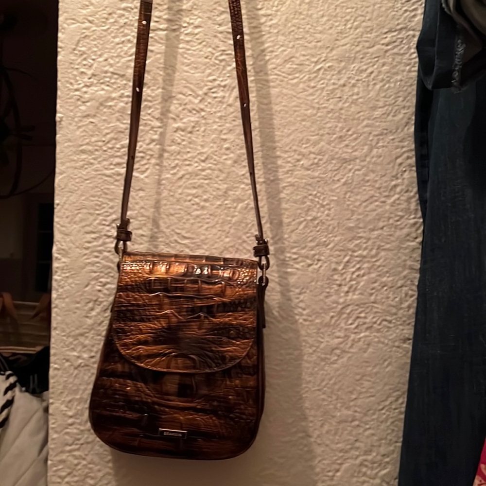 Brahmin crossbody bag!  Perfect for Fall pallets!!